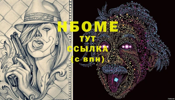 ешки Аркадак