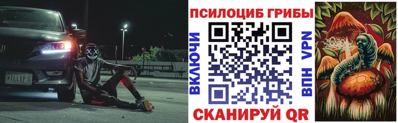 Псилоцибиновые грибы Psilocybine cubensis  Нязепетровск 
