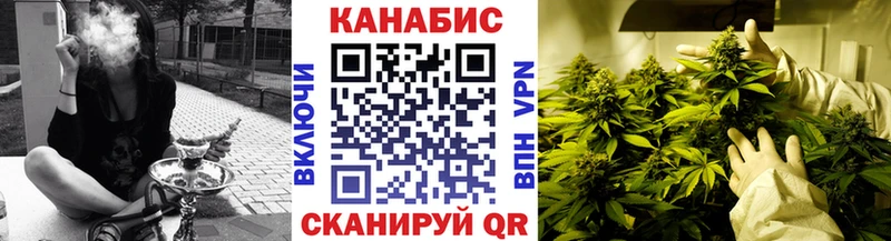 где купить   Нязепетровск  OMG зеркало  Марихуана план 